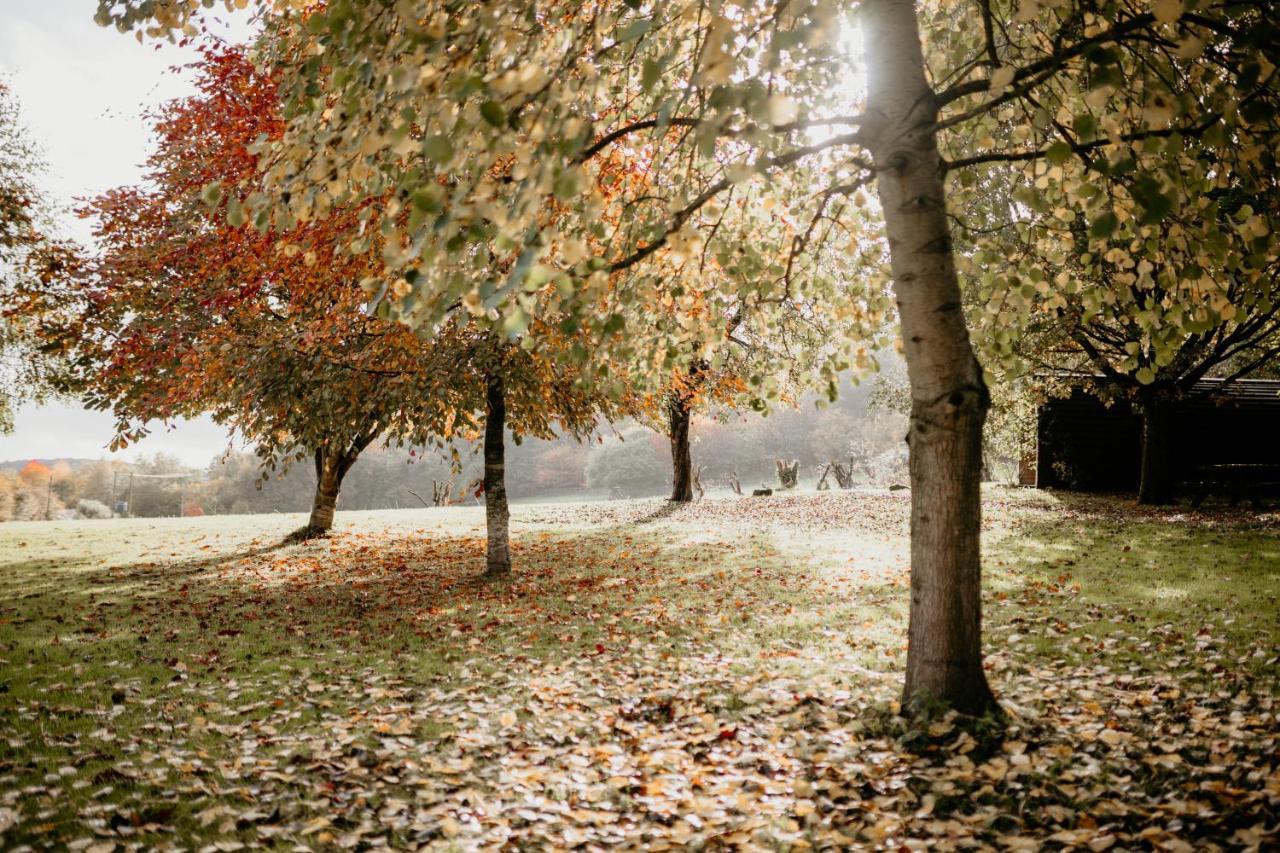 Caplor Glamping & Lodges Hereford Kültér fotó